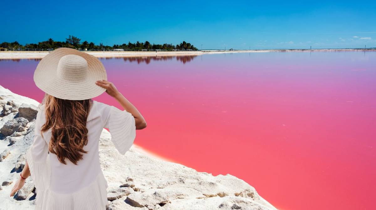 Las Coloradas, Rio Cancunito y Rio Lagartos 