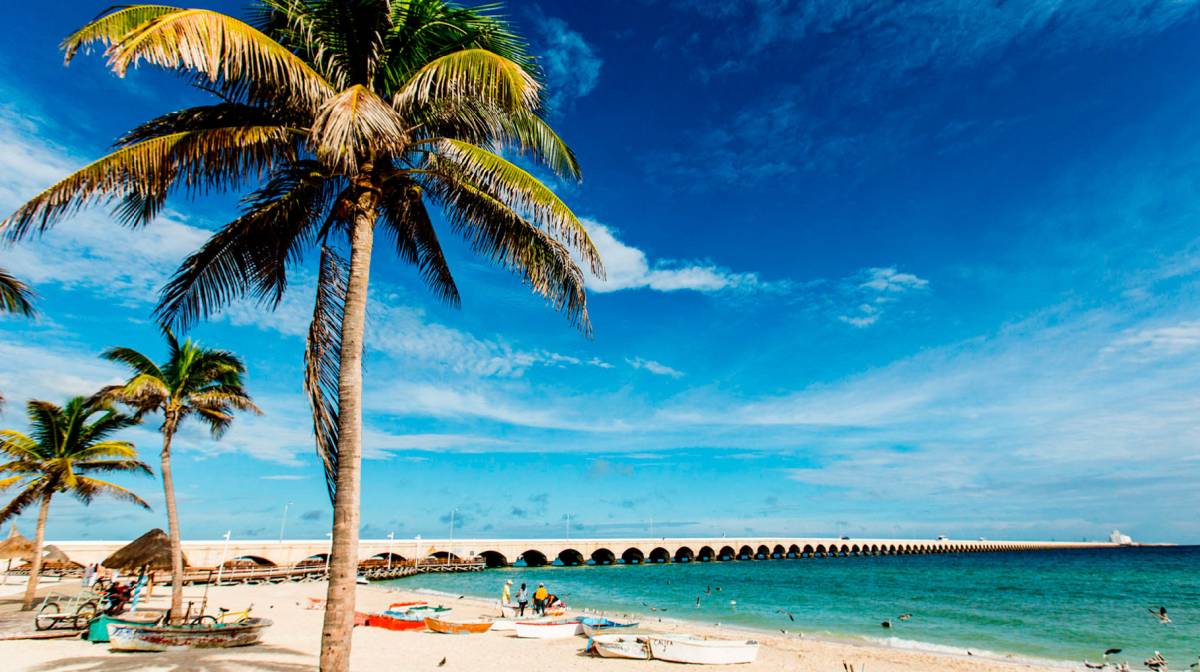 Tour a Costa Norte: Corchito, Salineras Xcambo y Puerto Progreso