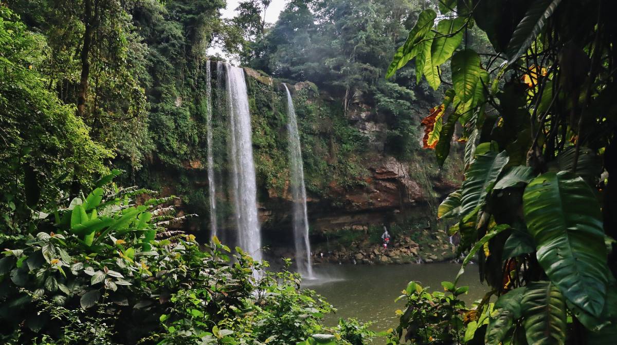 Chiapas Encantador TGZ - TGZ